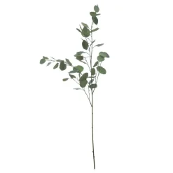 Bloomingville Deko Eukalyptuszweig