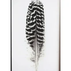 Chic Antique Bild mit Federnmotiv und schwarzem Rahmen