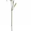 Chic Antique Fleur Distel 2
