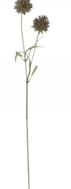 Chic Antique Fleur Distel 2