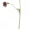 Chic Antique Fleur Distel 4
