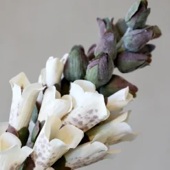 Chic Antique Fleur Fingerhut