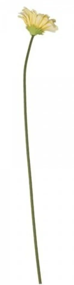 Chic Antique Fleur Gerbera