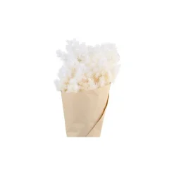 Chic Antique Fleur getrocknete Schleierspargel