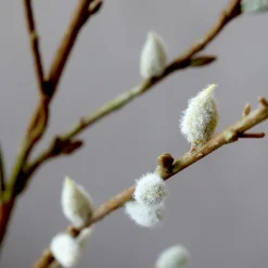 Chic Antique Fleur Gänseast