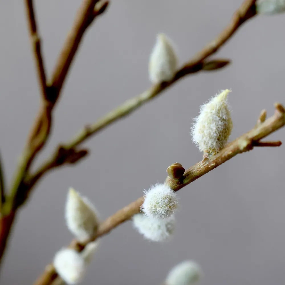Chic Antique Fleur Gänseast