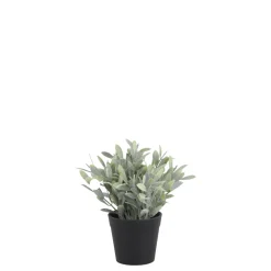 Chic Antique Fleur künstliche Pflanze Jojoba