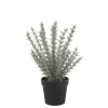 Chic Antique Fleur künstlicher Rosmarin Topf