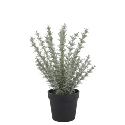 Chic Antique Fleur künstlicher Rosmarin Topf