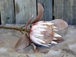 Chic Antique Fleur Kunstblume Protea