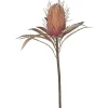 Chic Antique Fleur Protea Blume