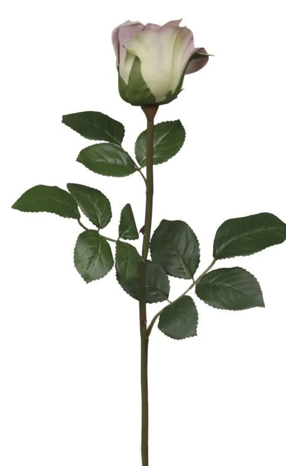 Chic Antique Fleur Rose lavendel