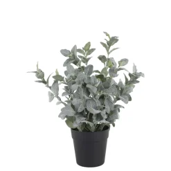 Chic Antique Fleur Salbei Kräuter-Topf künstlich