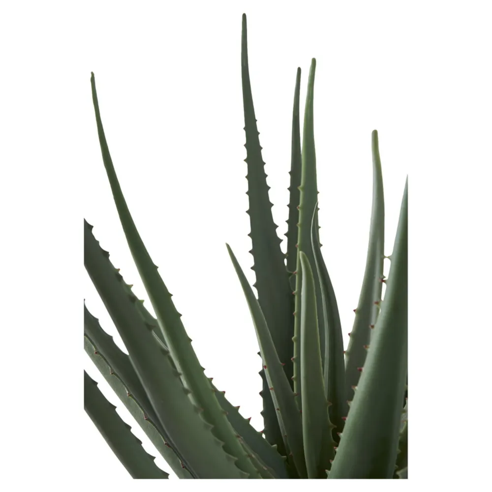 House Nordic Aloe Vera Künstliche Grünpflanze