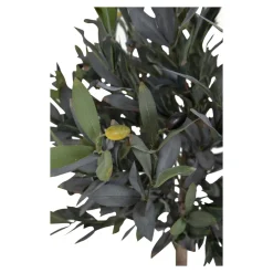 House Nordic Künstlicher Olivenbaum Stamm