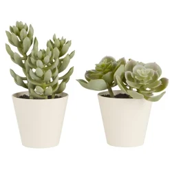 IB Laursen Künstliche Sukkulente 2er Set im Topf Sedum und Echeverie