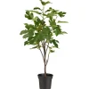 IB Laursen Künstlicher Feigenbaum in Topf
